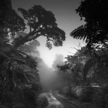 Jurassic by Hengki24