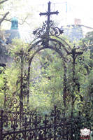 gate to any place by photopunisher