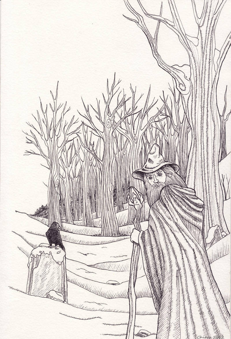 Wizard by melyanna