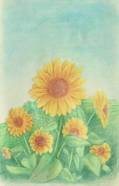 Sunflowers by melyanna