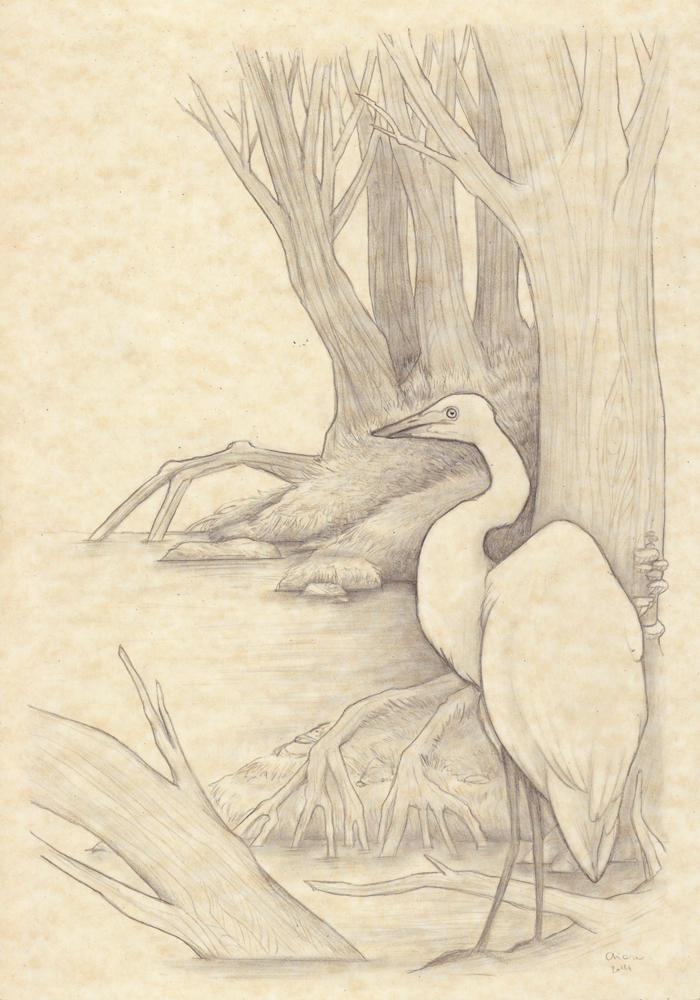 Ardea Alba by melyanna