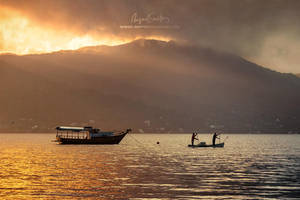 Lagoon life by Miguel-Santos