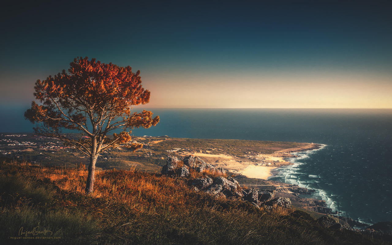 Written in Water by Miguel-Santos