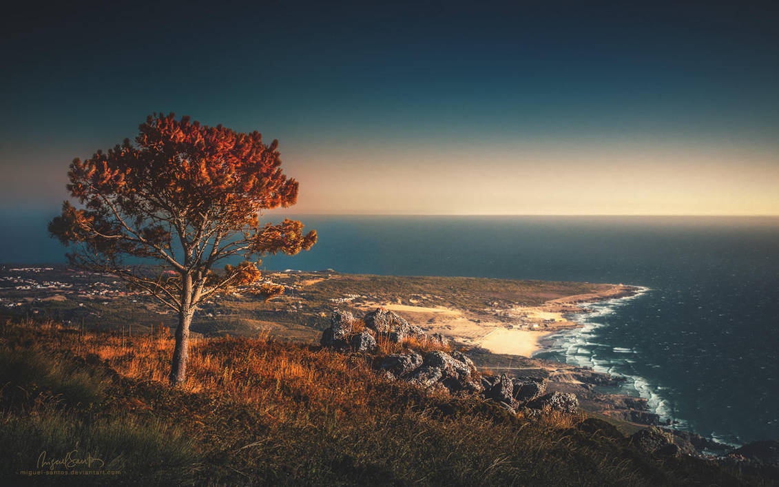 Written in Water by Miguel-Santos