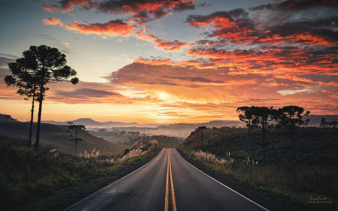 Roads - 2019 CALENDAR by Miguel-Santos
