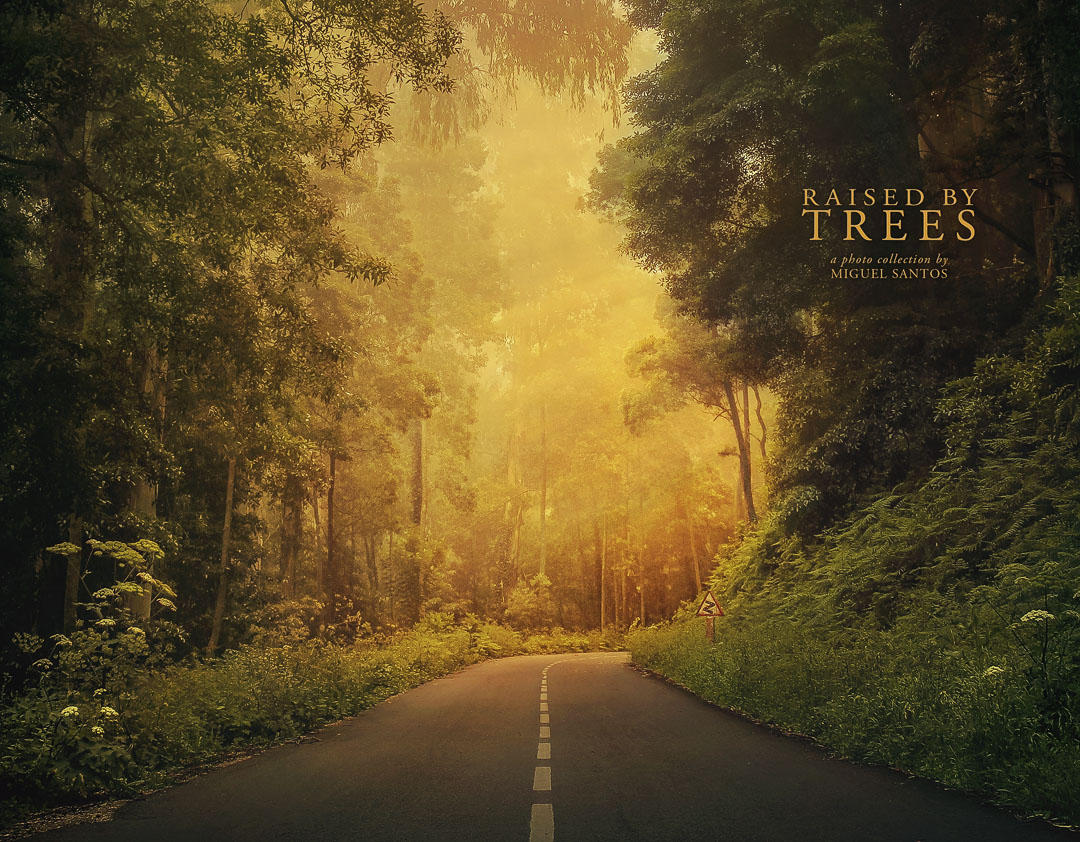Raised by Trees - 2019 Calendar by Miguel-Santos