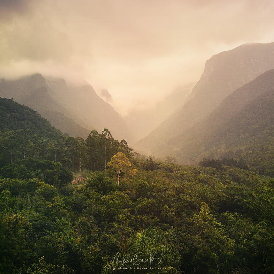 Natural Mystic by Miguel-Santos