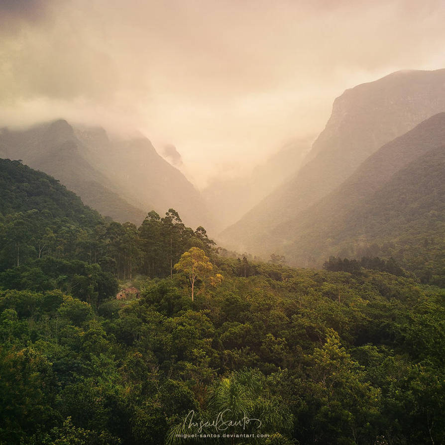 Natural Mystic by Miguel-Santos