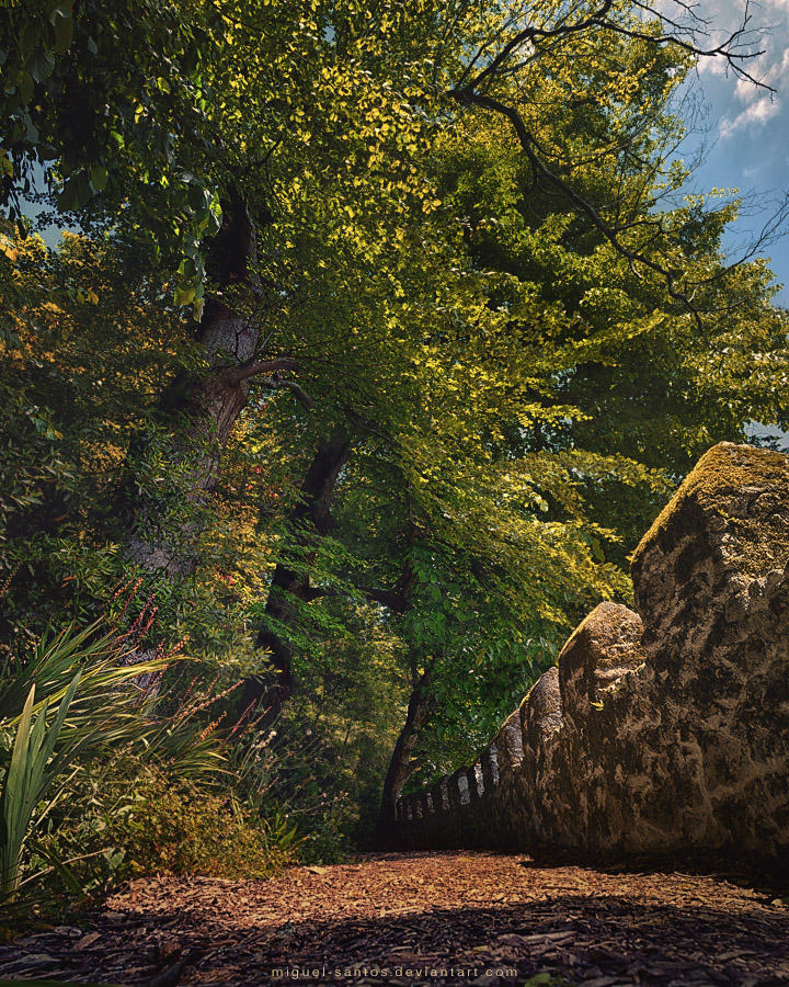 Path of Kings by Miguel-Santos