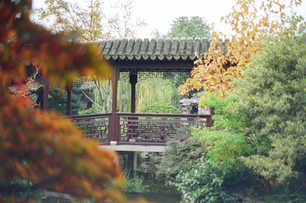 Lan Su: Meet me in Suzhou by neuroplasticcreative