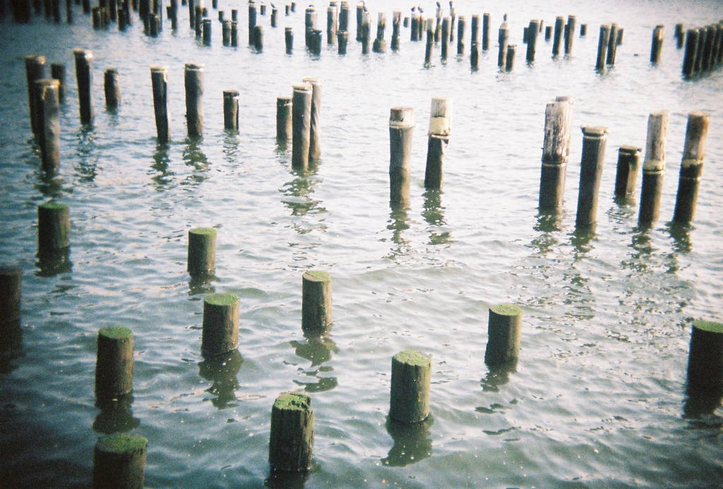 Brooklyn in Color: Sticks 'n' Stones, I by neuroplasticcreative