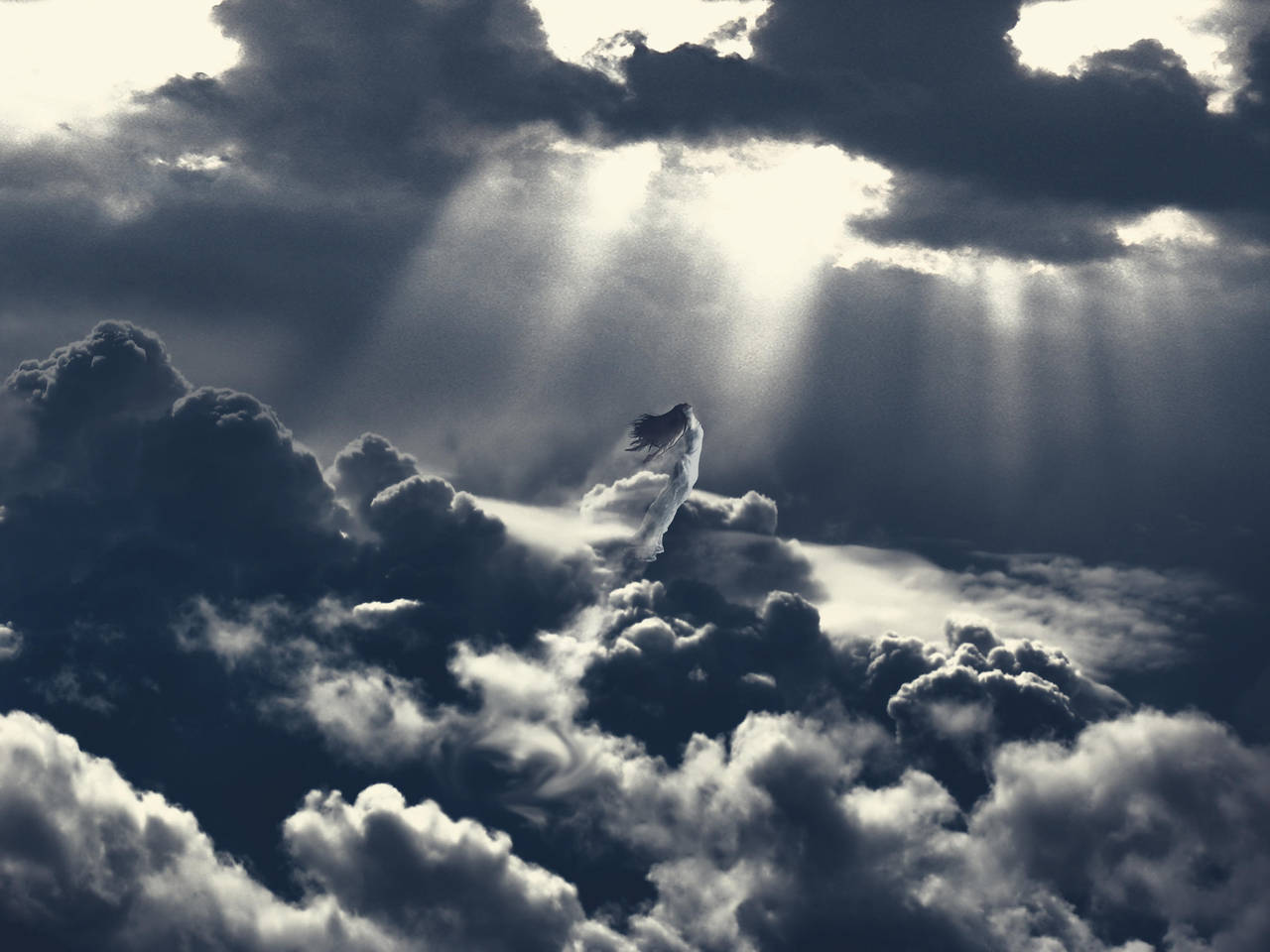 Let me fly by Nikos23a