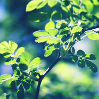 Heaven Is A Place On Earth With You by incolor16