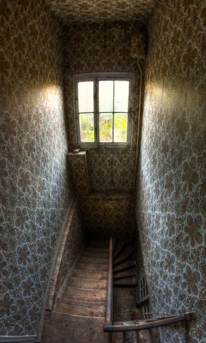 Perspective by Deadcam