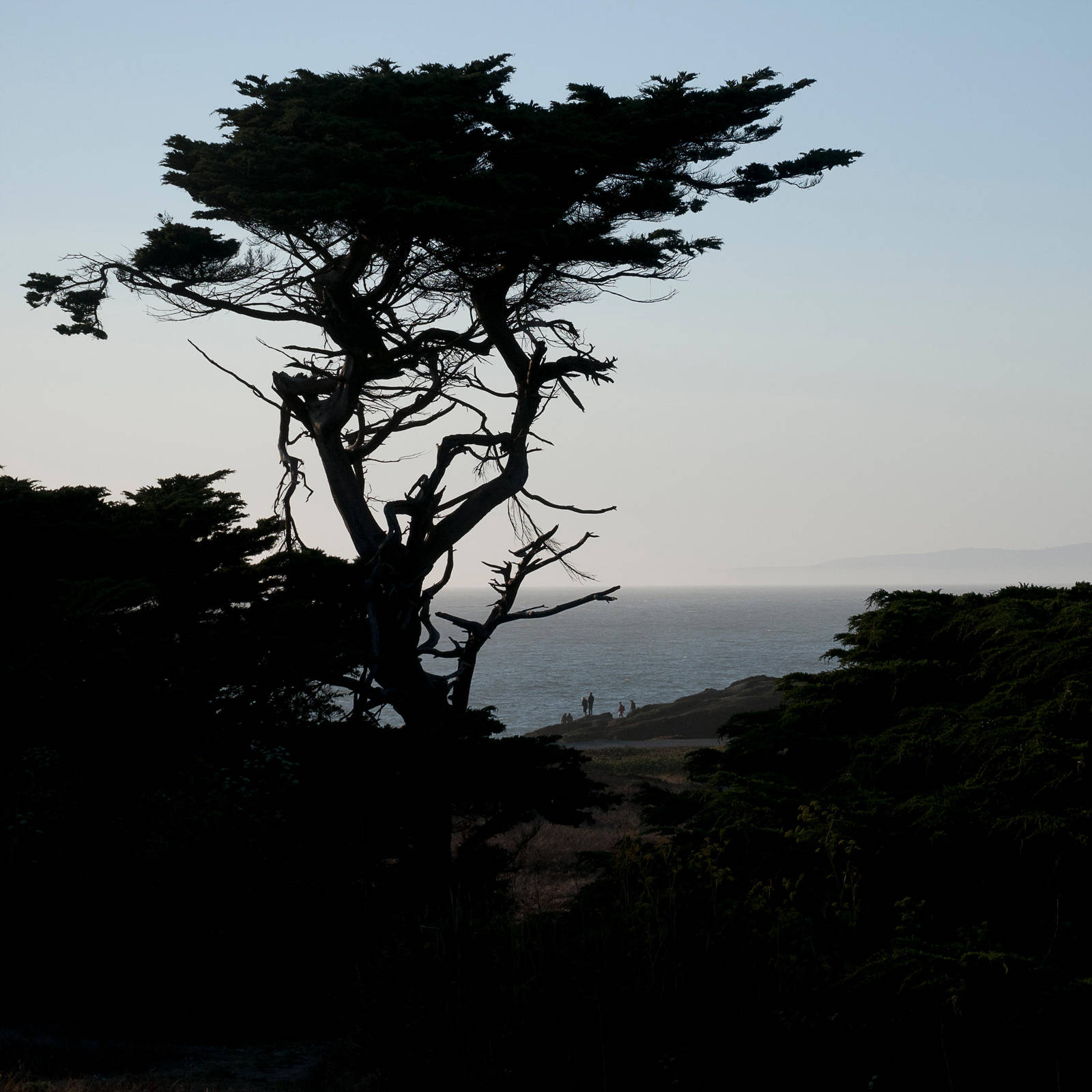 Awaiting the Windy Sunset by 1