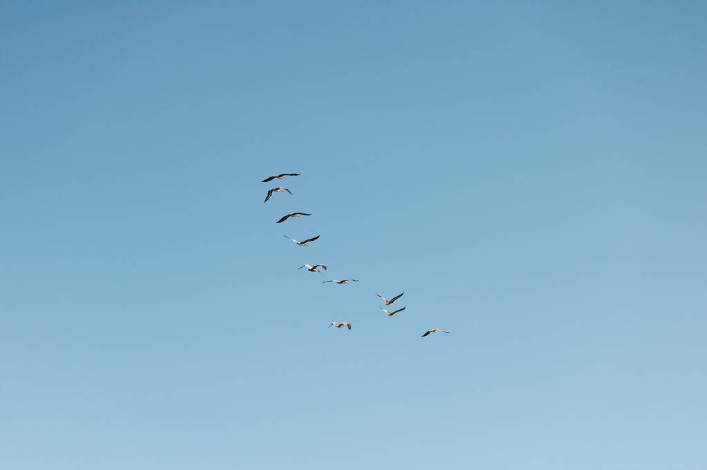 Untitled by 1 Untitled by 1