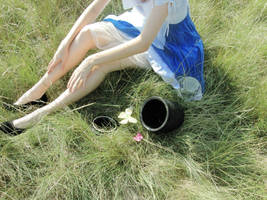 Where is your Wonderland? by Fantasmagoria01