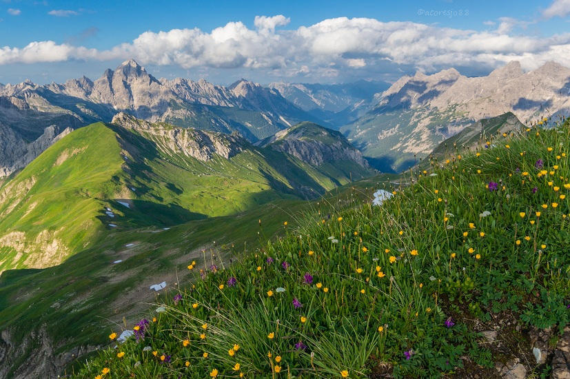 summer in the mountains by acoresjo88