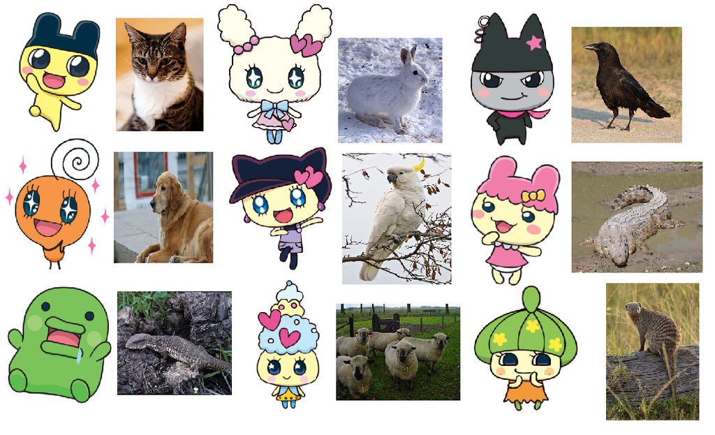 Tamagotchi With Thier Pets by JinNeko12 on DeviantArt