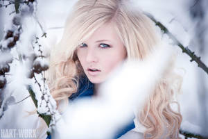 snow makes everything brighter by Hart-Worx