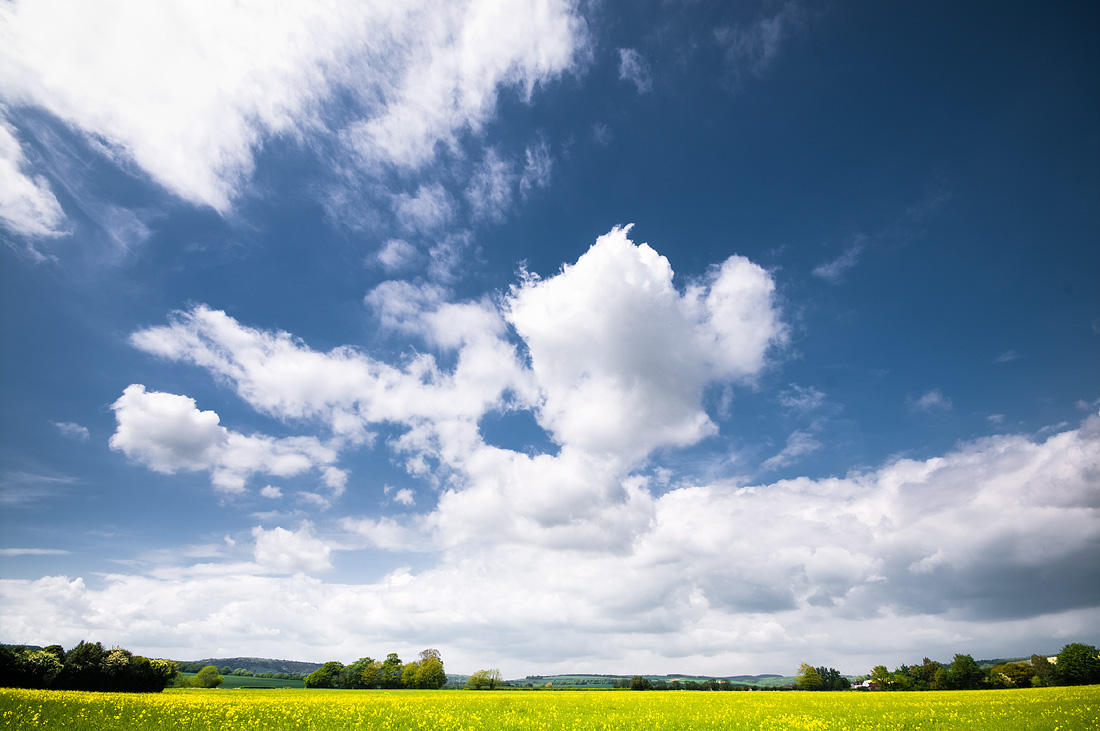 Summer Sky by adamlack
