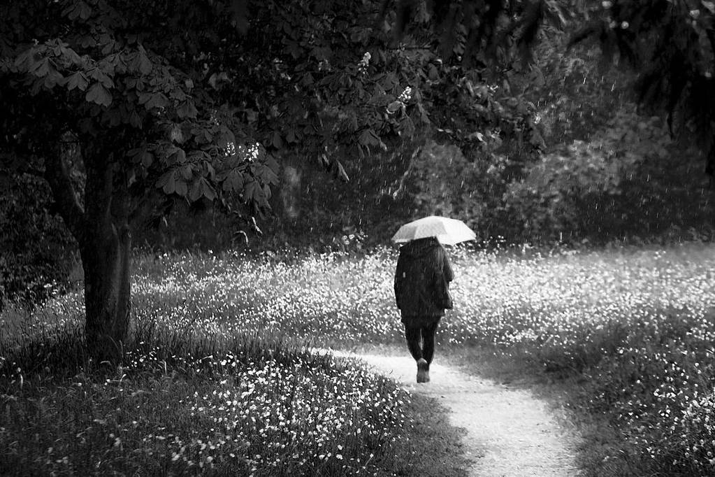 A Walk in the Rain by adamlack