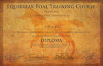 Tippaleipa Diploma by BlueFire-Phoenix