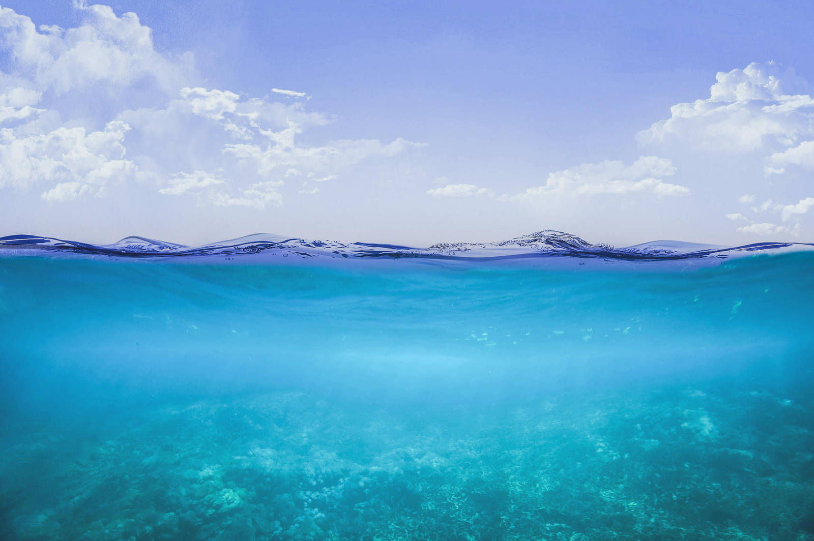 Underwater HD 4k By MattiaMc by MattiaMc