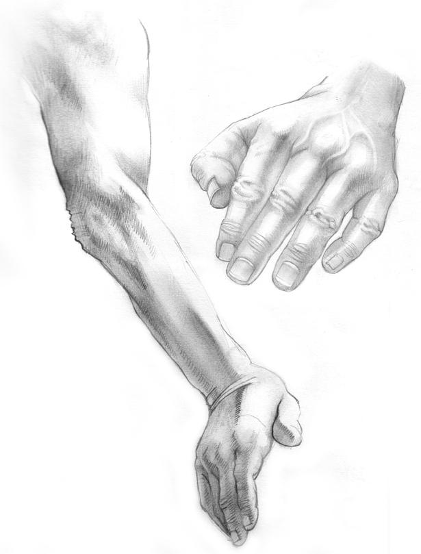 A study of hands by kordal