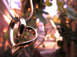 A Heart of Gold by shutterbugporter