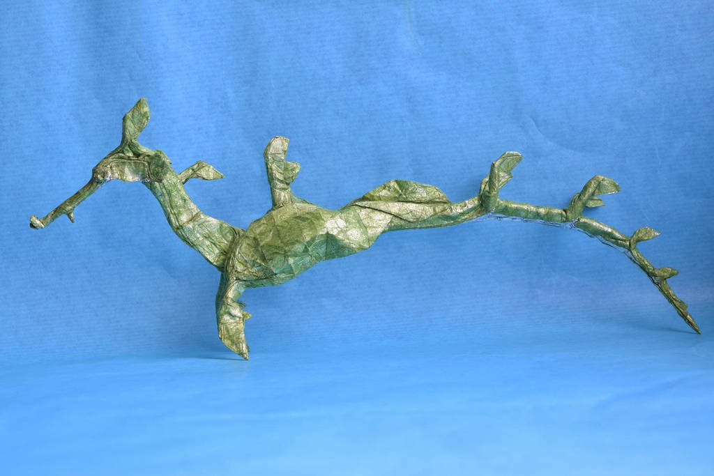 Weedy sea dragon 2.2 by PeteriDish