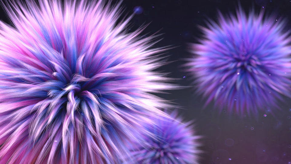 Amazing World of Dr. Seuss's Furry Tales by josauh