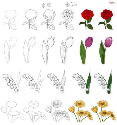 Floral study by Precia-T