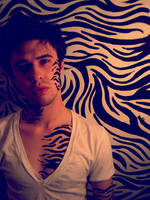 ID. Zebra by mintcondition