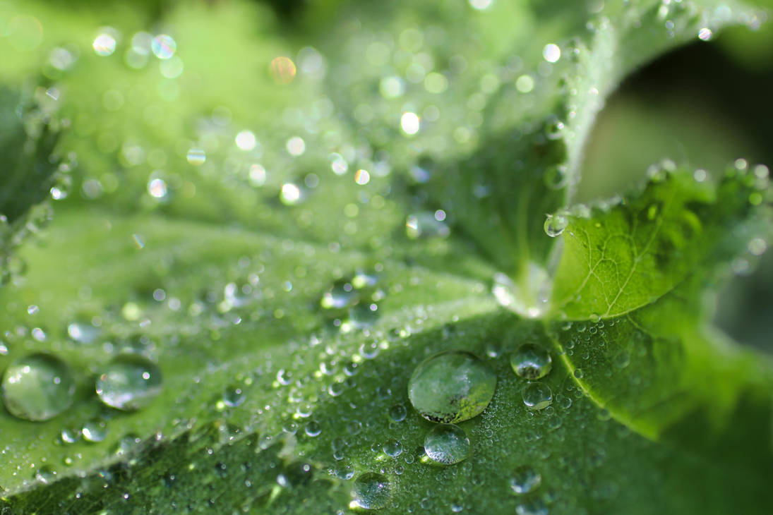 Rain Drops 6 By Swarfega On Deviantart