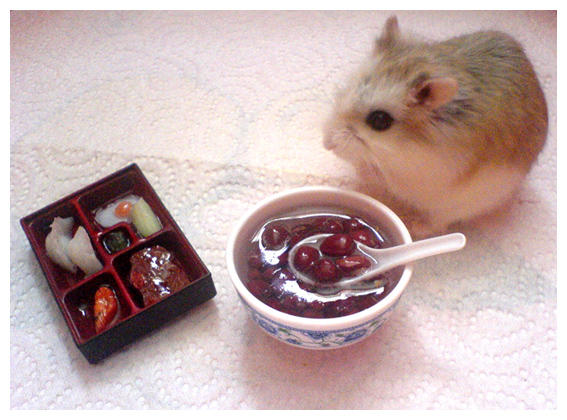 Gourmand Hamster by hedspace77