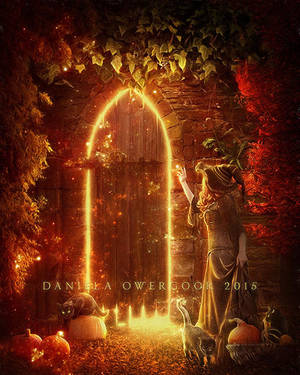 Magic Night II by Dani-Owergoor Magic Night II by Dani-Owergoor