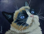 No - Grumpy Cat by miz-mezzy