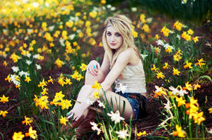 Daffodils by AnitaSadowska