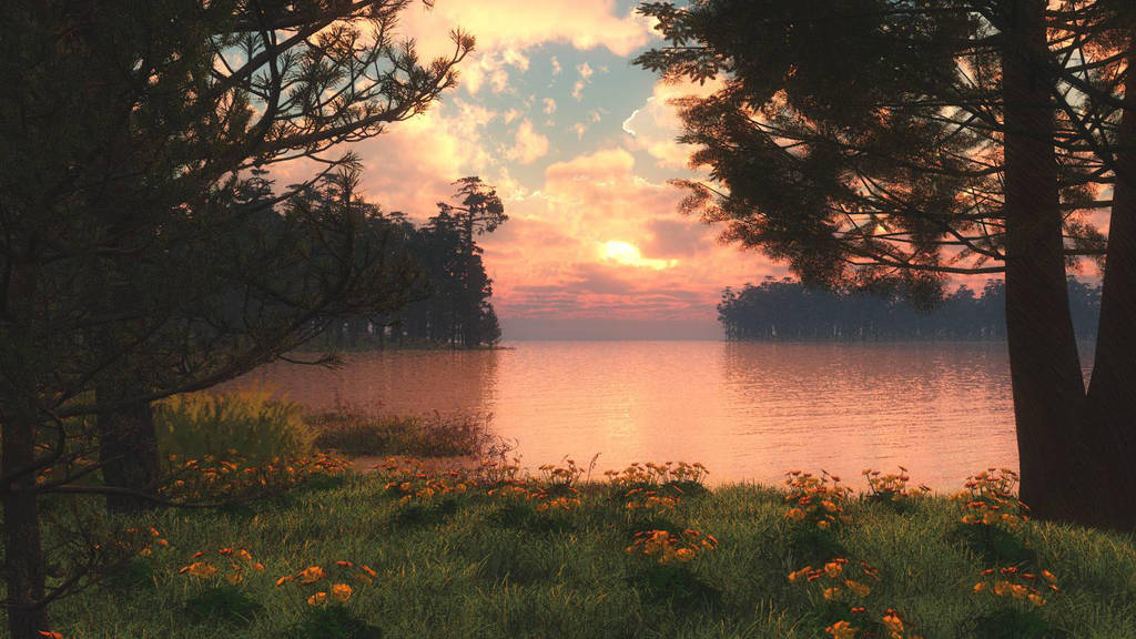 Other Spring by anne1956 Other Spring by anne1956