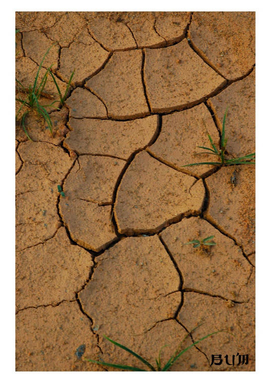 cracks by bumorticc