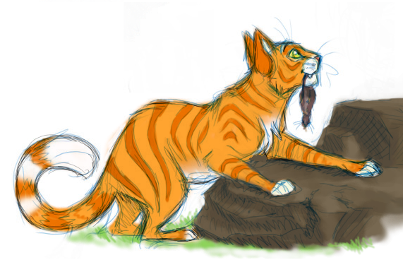 Fireheart caught a mouse by stuffed