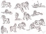 Wolf Tala Sketches by StangWolf