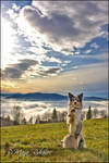 High above all... by Majchy
