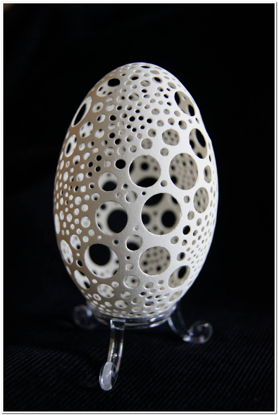 Drilled goose eggshell by peregrin71