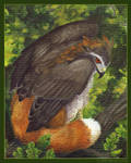 Red-Crested Gosfox Gryphon by windfalcon