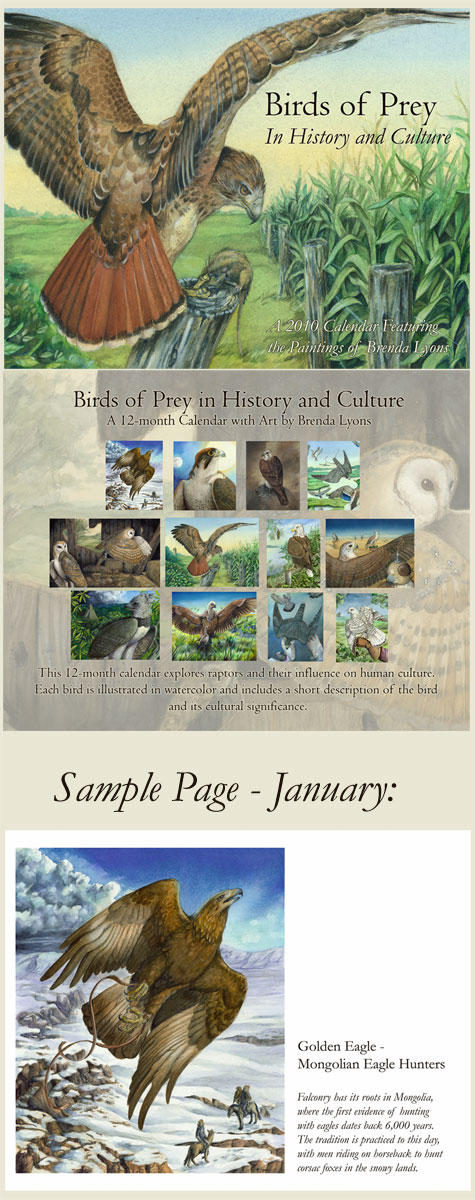 Birds of Prey -Thesis Calendar by windfalcon