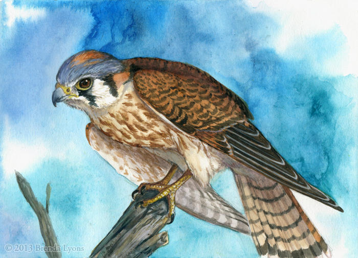 Alert by windfalcon