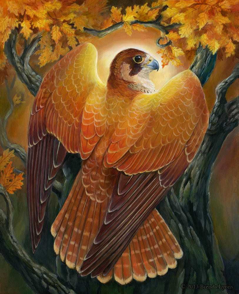 Voice of Autumn Light by windfalcon