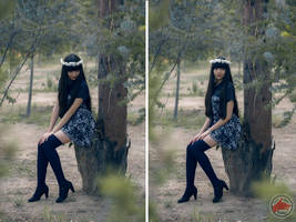 Lost in Woods by MaySakaali